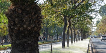 En la semana del inicio de primavera, la temperatura irá en aumento en Córdoba (Foto: Municipalidad de Córdoba).