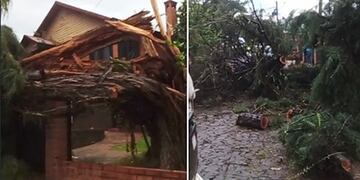 Bernardo de Irigoyen, San Pedro, Fracrán y San Vicente los municipios más afectados por el temporal.