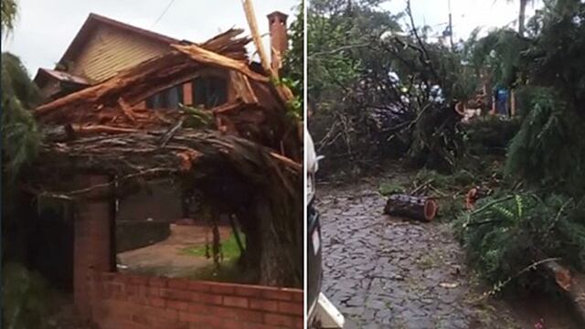 Bernardo de Irigoyen, San Pedro, Fracrán y San Vicente los municipios más afectados por el temporal.