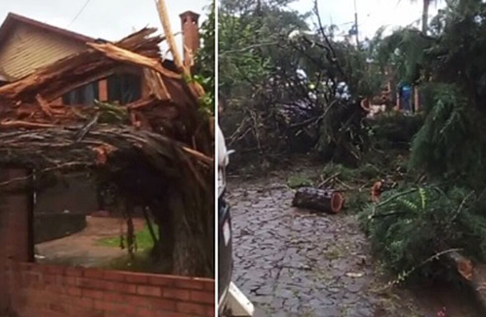 Bernardo de Irigoyen, San Pedro, Fracrán y San Vicente los municipios más afectados por el temporal