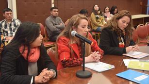 El equipo del Instituto de Promoción, Prevención y Protección de los Derechos de las Mujeres recomendó a la Comisión de Género de la Legislatura de Jujuy "que todas las leyes salgan con perspectiva de género".