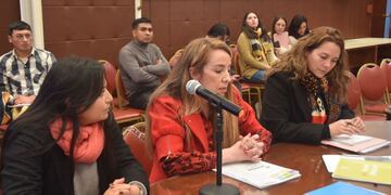 El equipo del Instituto de Promoción, Prevención y Protección de los Derechos de las Mujeres recomendó a la Comisión de Género de la Legislatura de Jujuy "que todas las leyes salgan con perspectiva de género".