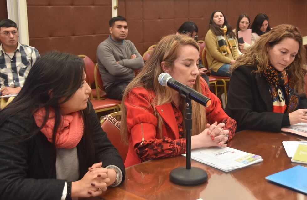 Perspectiva de género: recomendación de la Defensoría del Pueblo de Jujuy a legisladores