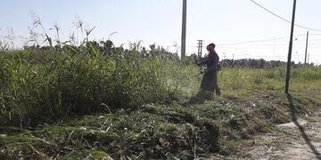 desmalezado y limpieza de lotes baldíos en Rafaela