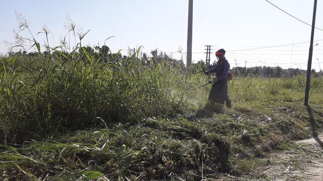 desmalezado y limpieza de lotes baldíos en Rafaela