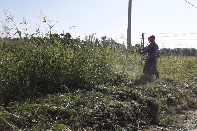 desmalezado y limpieza de lotes baldíos en Rafaela