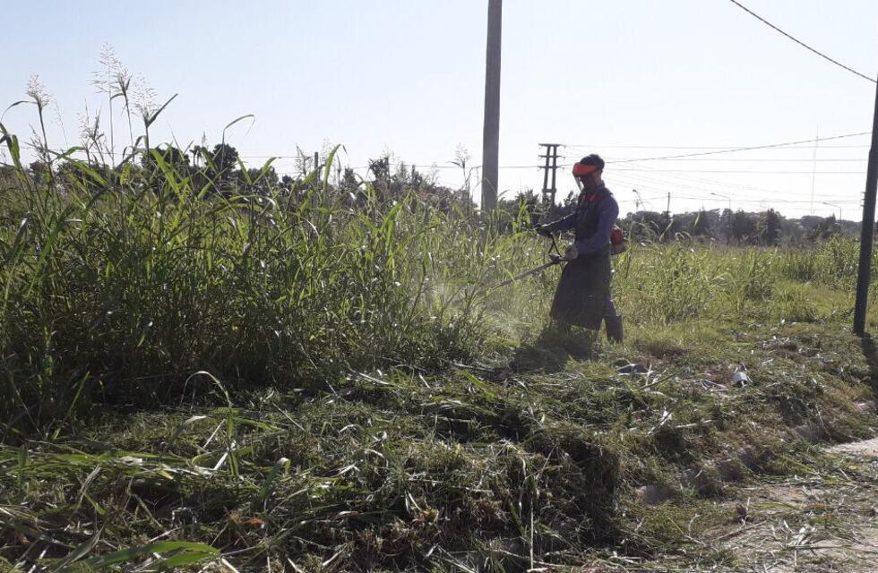 Casi 2.000 pedidos para que los dueños de lotes corten el césped