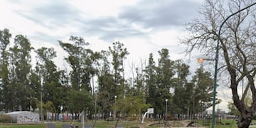 Predio de Av. Italia y Mitre, antes a cargo de APADIIR