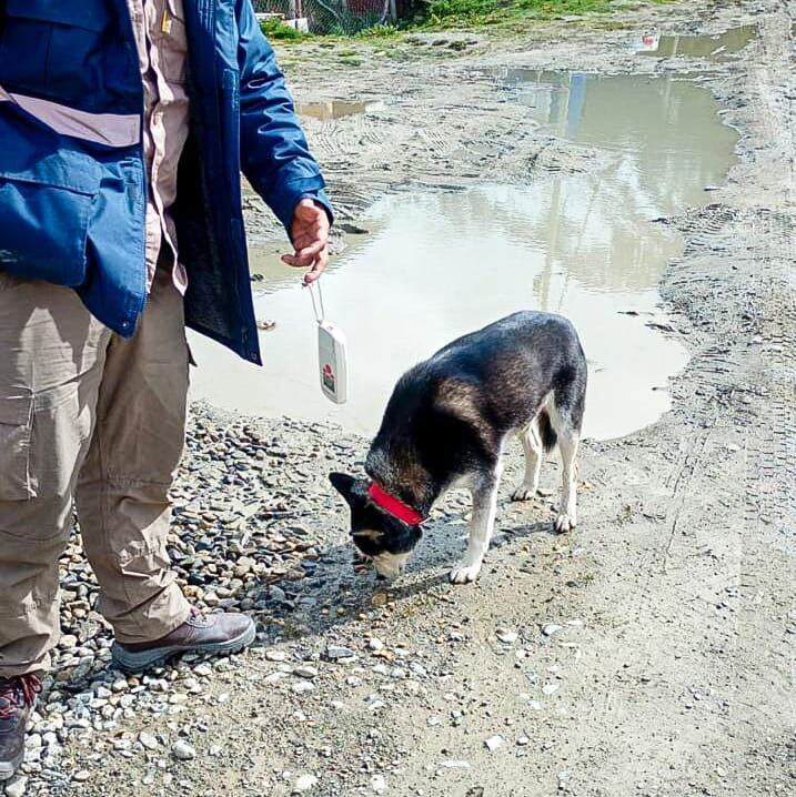 Controles de Zoonosis en Andorra.