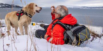 "Tango", el pero héroe de Ushuaia (Foto: Telam)