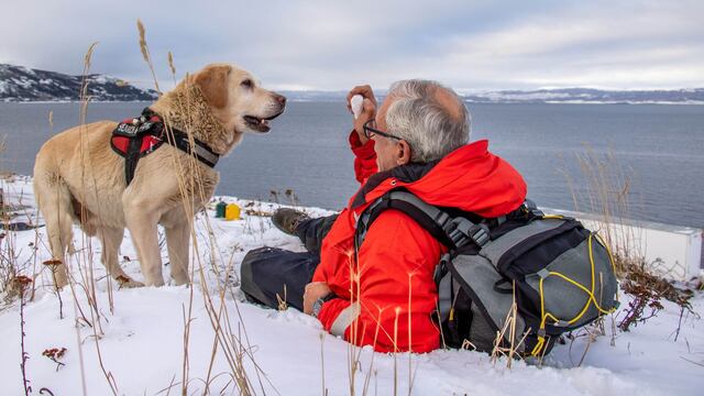 "Tango", el pero héroe de Ushuaia (Foto: Telam)