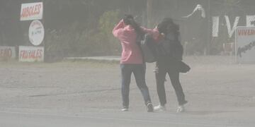 Hay alerta por vientos fuertes en el sur mendocino. Archivo.