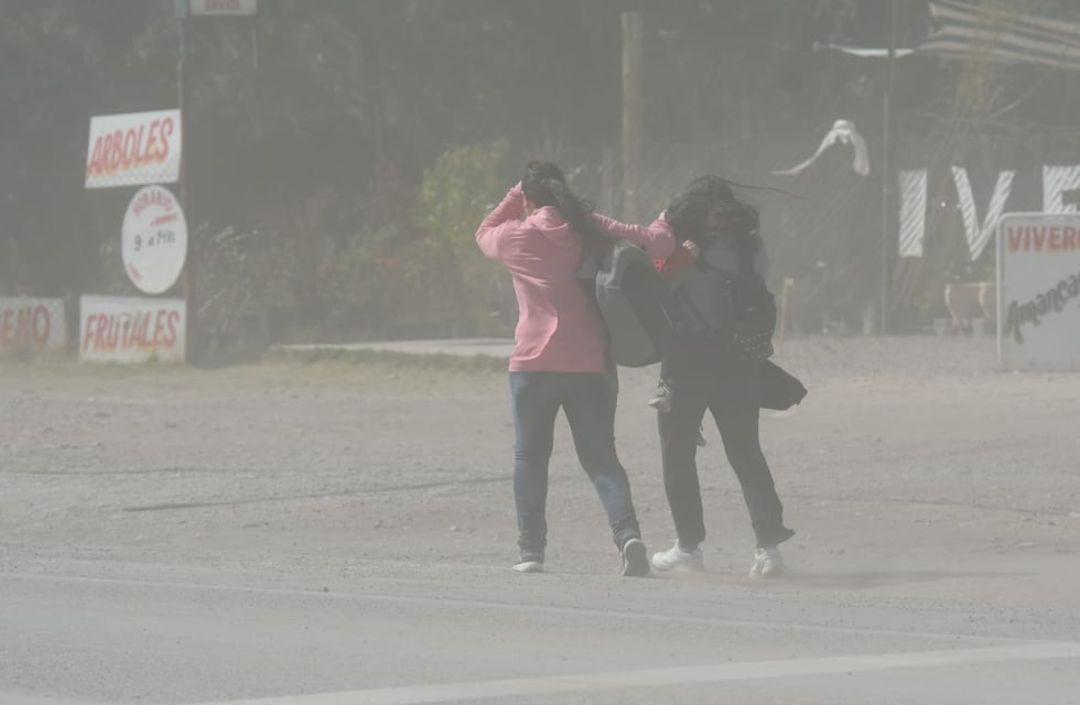 Calor y alerta por viento con ráfagas de intensidad en todo el sur mendocino