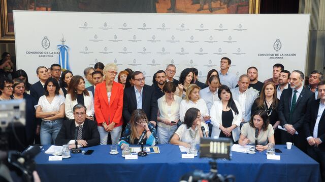 Los bloques legislativos del Frente de Todos anunciaron el pedido de audiencia con la Corte en conferencia de prensa (Foto: Federico López Claro)