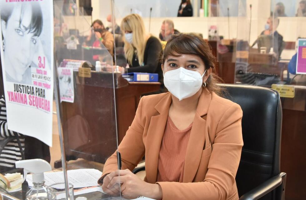 La Cámara de Diputados del Chaco aprobó la campaña de concientización sobre la prevención del maltrato en la niñez y adolescencia