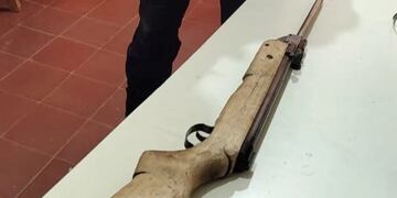 Panambí: acusan a un adolescente de matar a tiros a un perro.