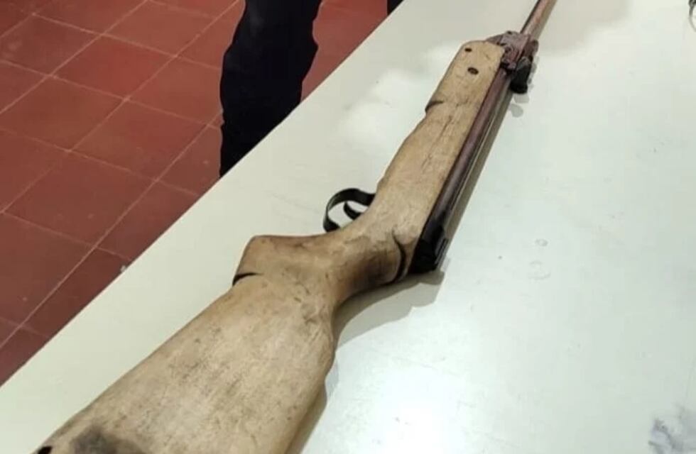 Panambí: acusan a un adolescente de matar a tiros a un perro