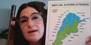 La dura carta a los senadores de “Lucia”, la nena tucumana a la que negaron el aborto y obligaron a parir