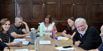 Ficha limpia, acceso al Rafam y albúfera de Reta los temas tratados por la Comisión de Legislación