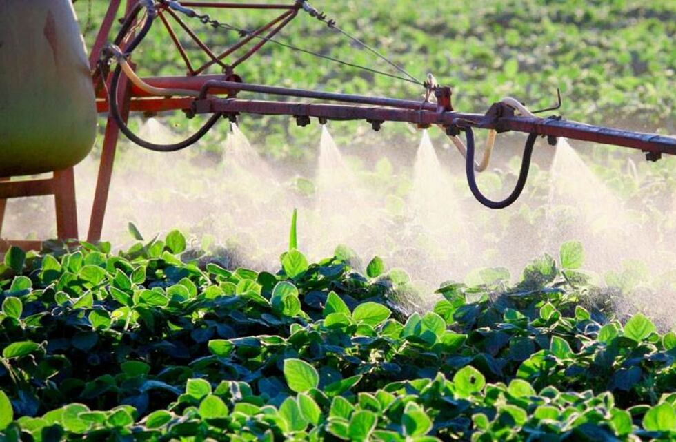 Una ONG sumará nuevo centro de almacenamiento de envases fitosanitarios en Tandil