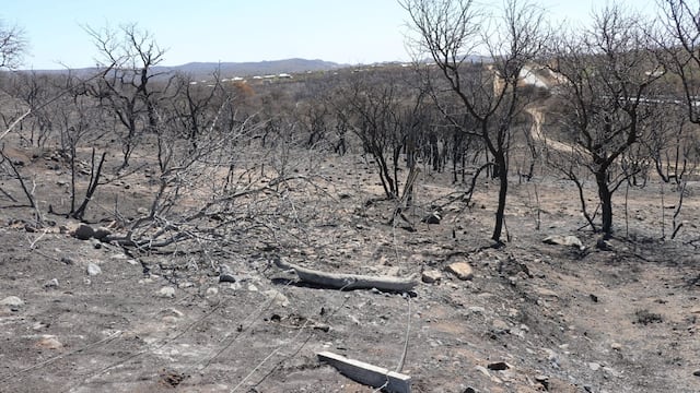 Incendios. Suelos quemados. Hay pautas para una correcta actuación que no le provoque daños aun mayores.