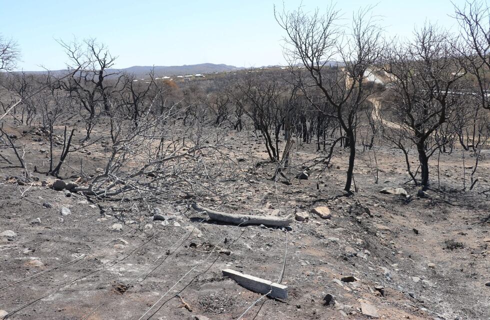Tras el paso del fuego, la Provincia lanzó un plan de remediación ambiental: qué harán