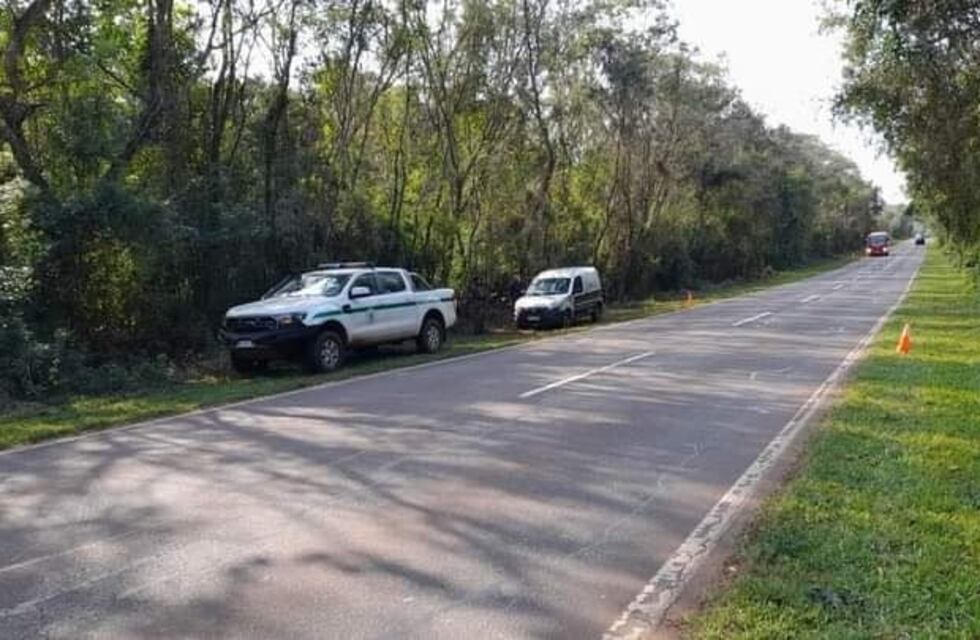 El Parque Nacional Iguazú contará con radares en el predio
