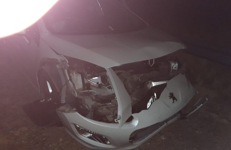 Demandan al estado por chocar un jabalí en Altas Cumbres