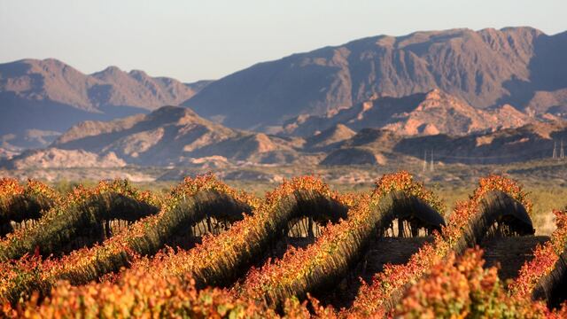 Mendoza se presenta al mundo turístico con un seductor video. (Foto: San Rafael Turismo)