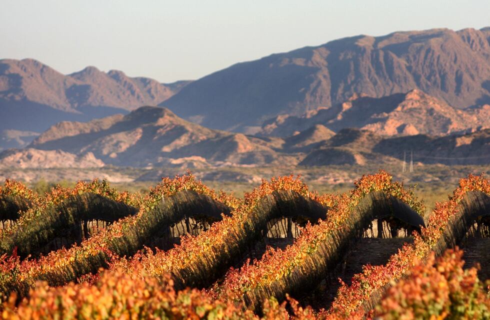 Mendoza busca atraer a turistas de todo el mundo con un seductor video
