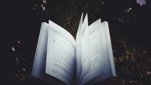 Efemérides. Día Mundial del Libro y el Derecho de Autor. (Imagen ilustrativa / Canva)