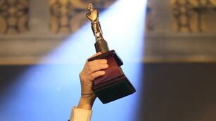Premios Martín Fierro.