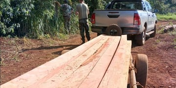 Incautan madera de Palo Rosa en un operativo ambiental en el norte de Misiones.