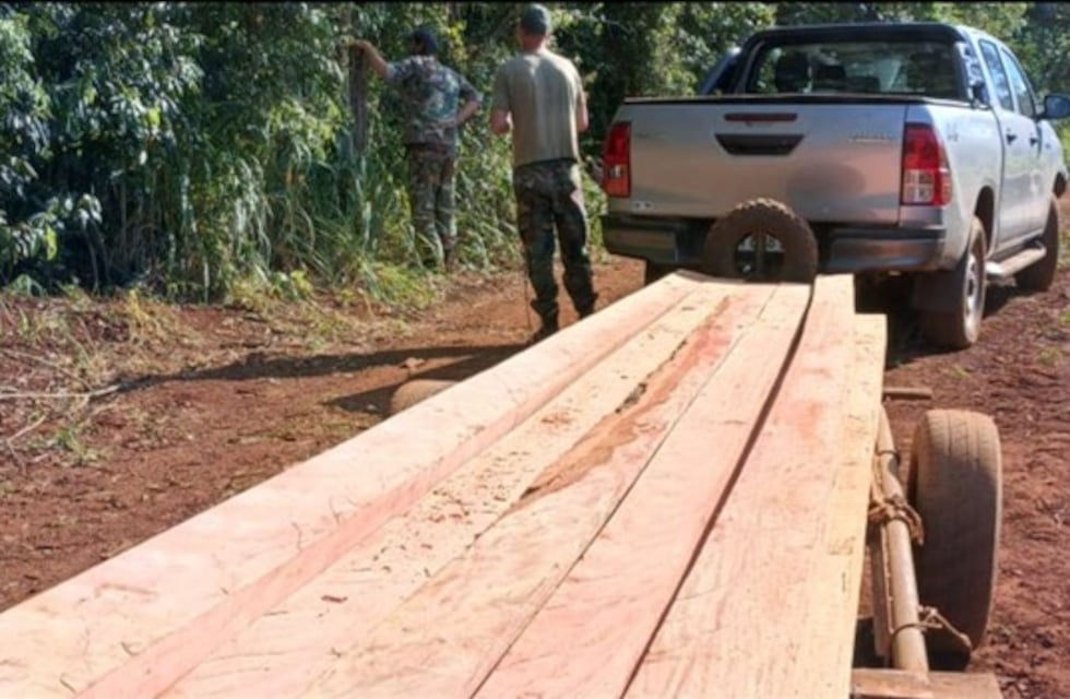 Incautan madera de Palo Rosa en un operativo ambiental en el norte de Misiones