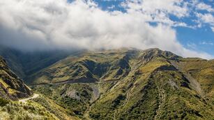 El extraño animal captado por un influencer en las sierras de San Luis