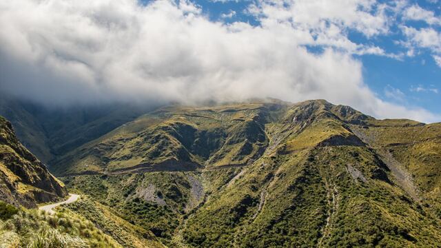 El extraño animal captado por un influencer en las sierras de San Luis
