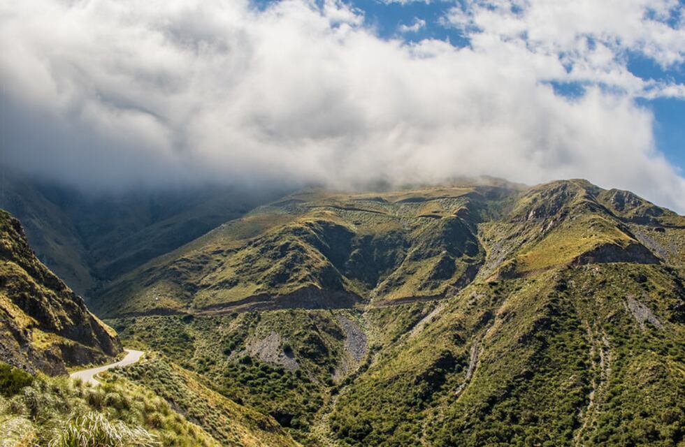 Mirá el extraño animal captado por un influencer en las sierras de San Luis que impactó en las redes