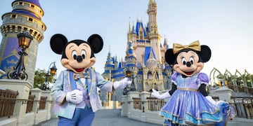 Disney prohibirá la entrada a quienes comentan esta infracción.