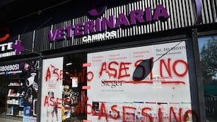 Veterinaria Caminos. El caso de maltrato animal en Villa Allende sigue generando repercusiones en Córdoba. (Pedro Castillo / La Voz)