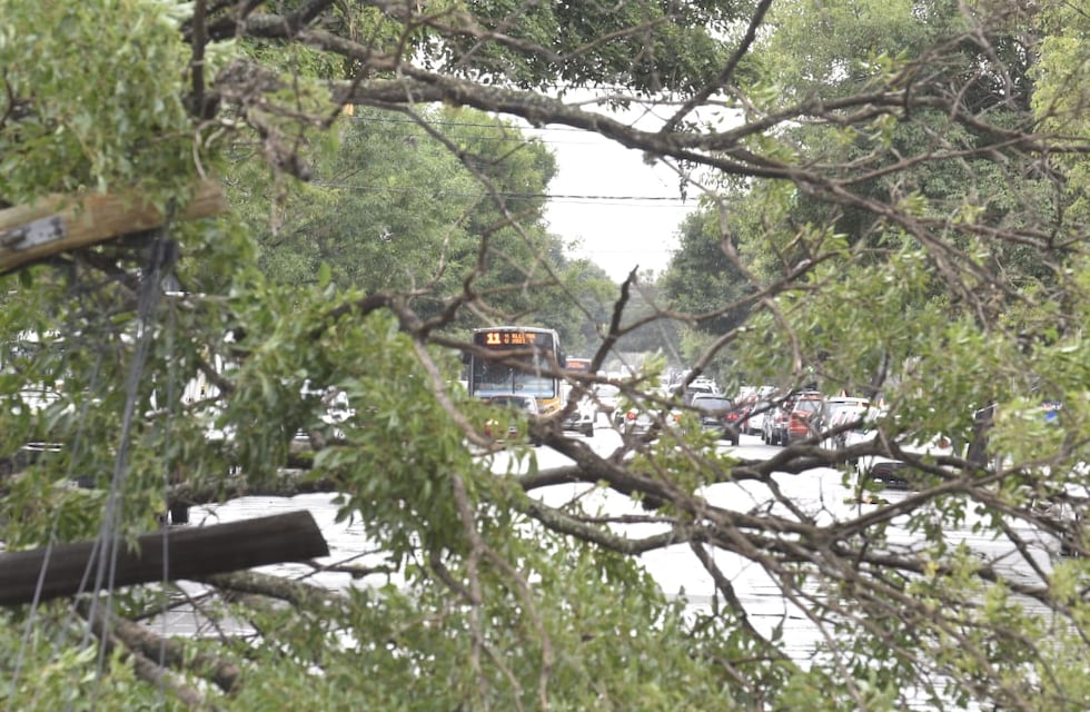 El viento y la lluvia provocaron destrozos en Córdoba