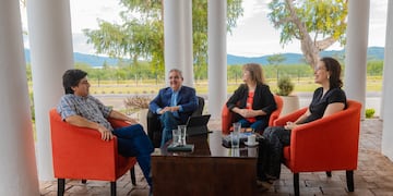 La Mesa del Litio que conforman Catamarca, Salta y Jujuy.