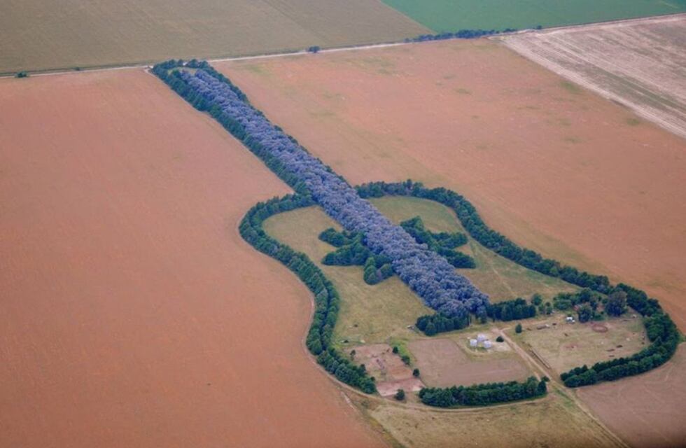 “La guitarra de árboles”: el gesto de amor cordobés que trascendió el tiempo y las fronteras