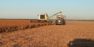 AgroIndustria, es la base mas grande de empleos a nivel nacional