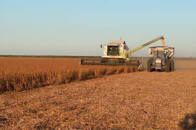 AgroIndustria, es la base mas grande de empleos a nivel nacional