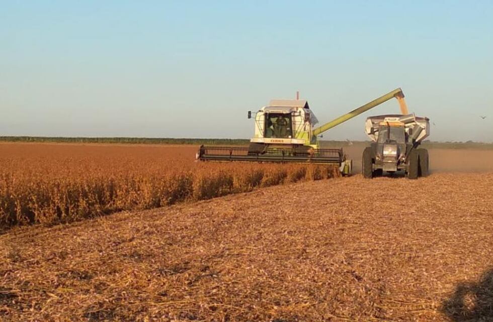 El empleo y las cadenas agroindustriales