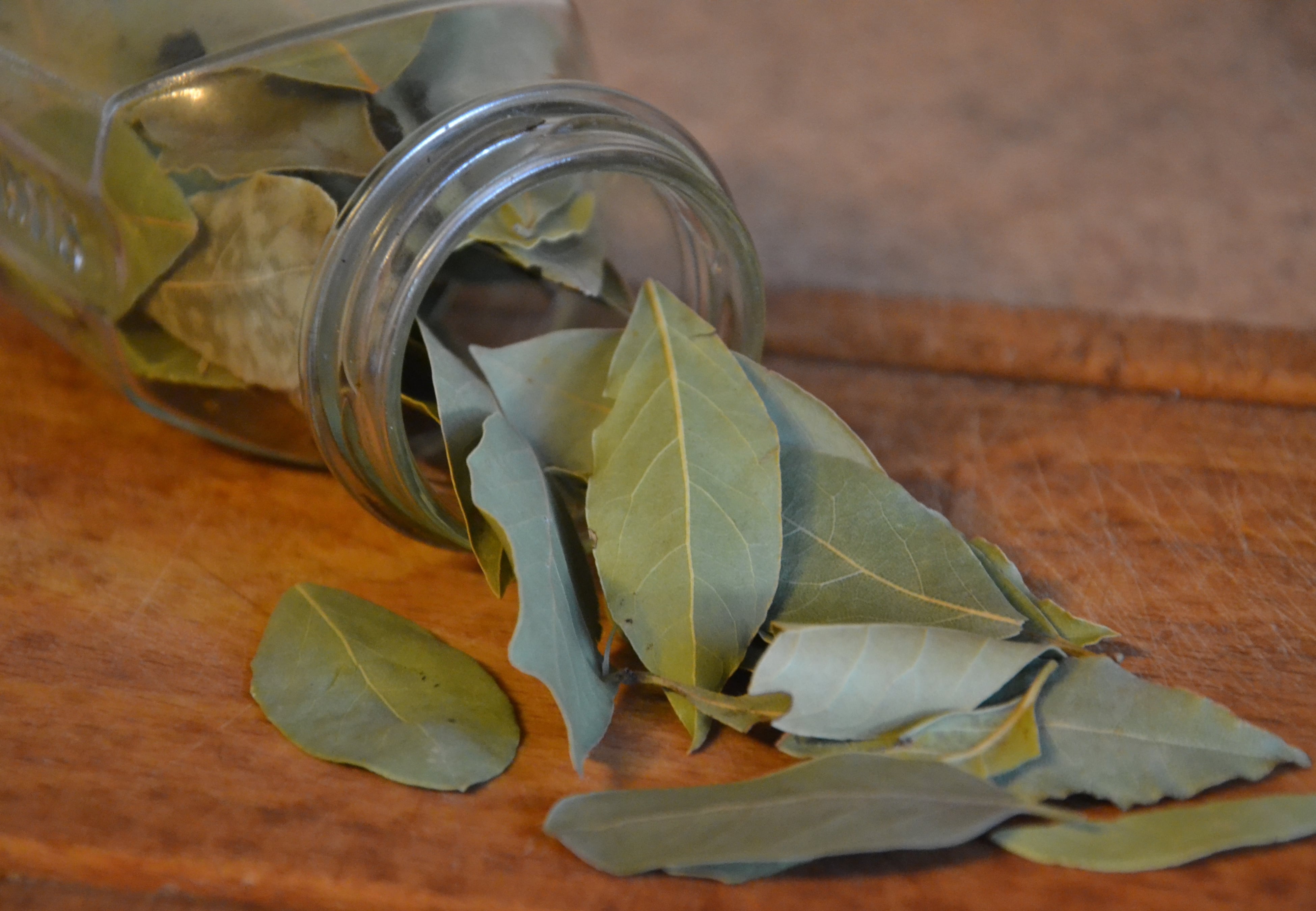 Dónde poner las hojas de laurel en el hogar.