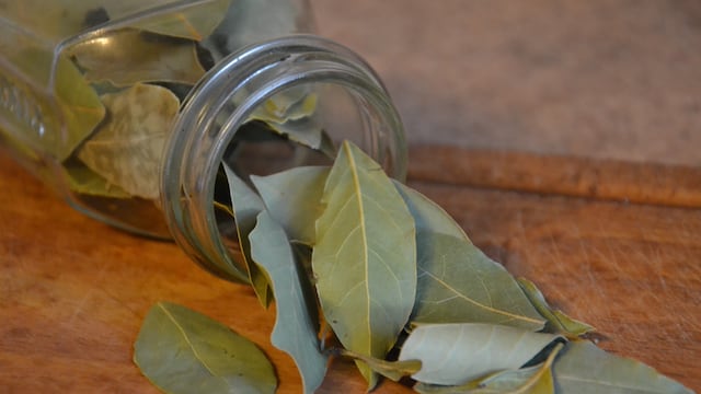 Dónde poner las hojas de laurel en el hogar.