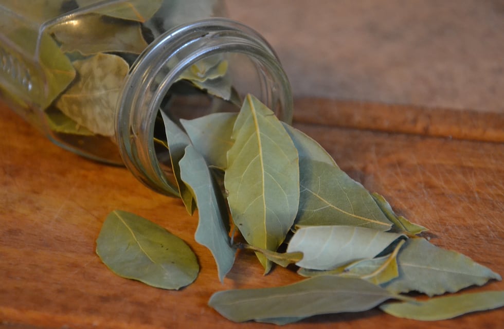En qué lugar del hogar colocar las hojas de laurel para atraer buena suerte, según el Feng Shui