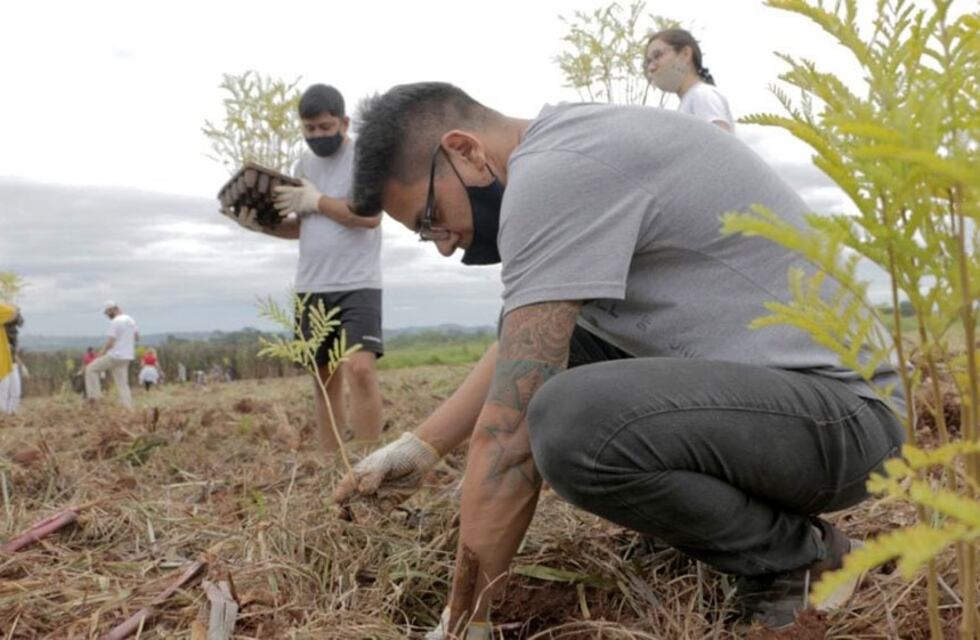 Día de la Primavera en Tandil: plantan árboles de cara a los 200 años de la ciudad