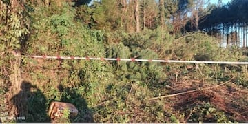 Falleció un joven de 22 años tras un accidente laboral en San Ignacio.